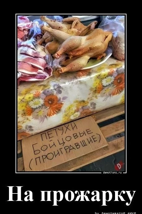 Весёлые картинки №11
