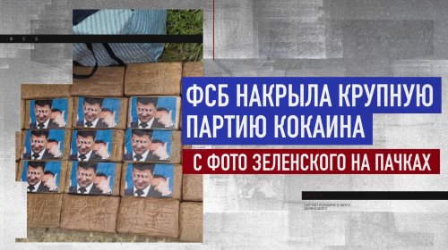 ФСБ изъяла в Подмосковье более 300 кг кокаина в упаковках с изображением Зеленского