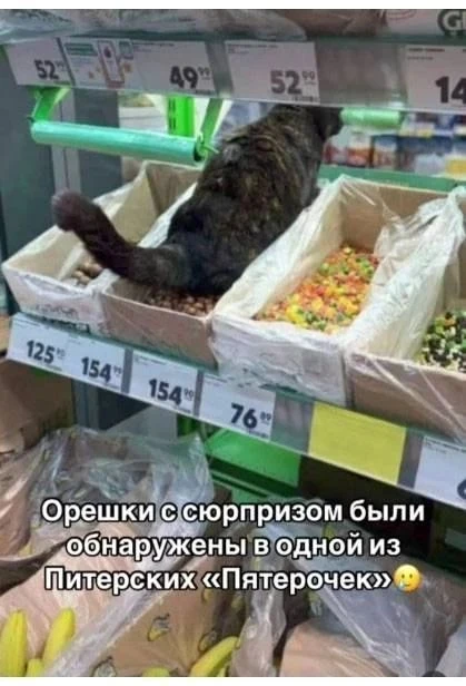 Весёлые картинки №14