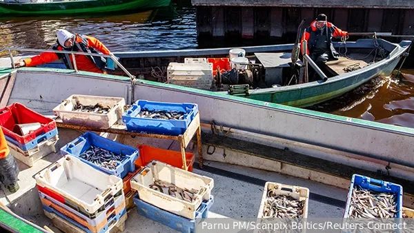 Европа вместо шпрот доедает латвийских рыбаков