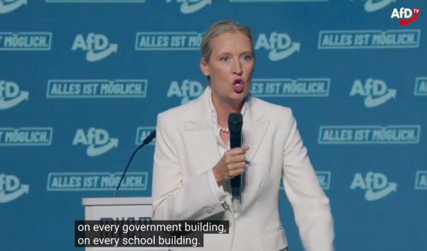 Правопопулистская антимигрантская партия Германии AfD на пороге исторической победы на выборах в Саксонии-Анхальт
