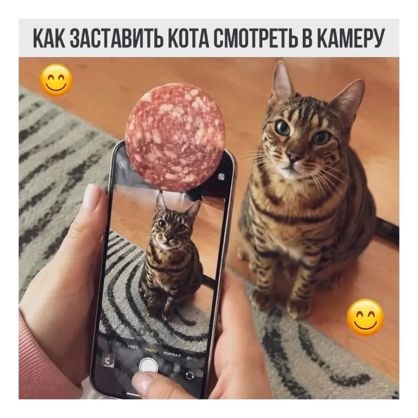 Весёлые картинки №19