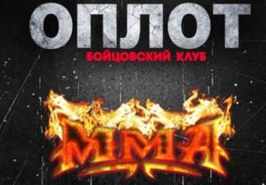 Во время ножевого нападения на «Оплот» «майдановец» лишился уха