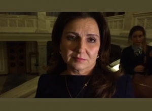 Власть получила передышку в 15 дней для силового варианта – Богословская