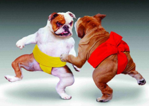 Борьба бульдогов под украинскими коврами