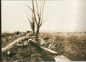 Ледяной поход Белой Армии