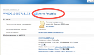 А. Шарий. «Красный Сектор» снимает маски