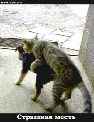 Не реализованные перспективы или упущенные возможности Галичины…?!