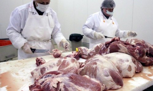 Убытки мясоперерабатывающей отрасли в Польше из-за эмбарго России достигают 1 миллиона евро в день