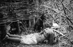 В предчувствии гражданской войны....