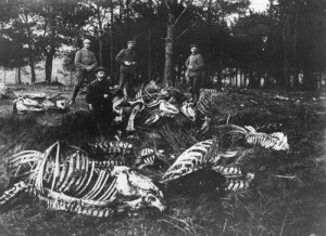 В предчувствии гражданской войны....