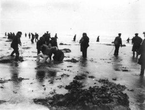 В предчувствии гражданской войны....