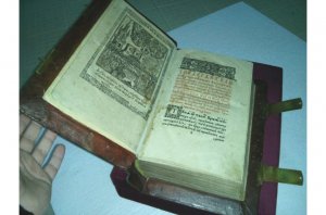 В Межигорье обнаружили хранилище ценных раритетных книг