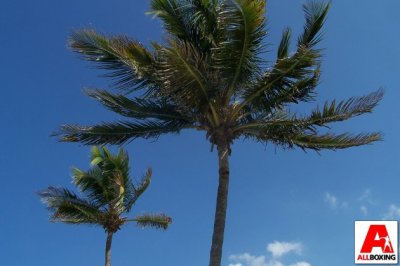 Друзьям из Украины-для ценителей архитектуры и интерьеров