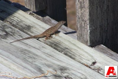 Друзьям из Украины-для ценителей архитектуры и интерьеров