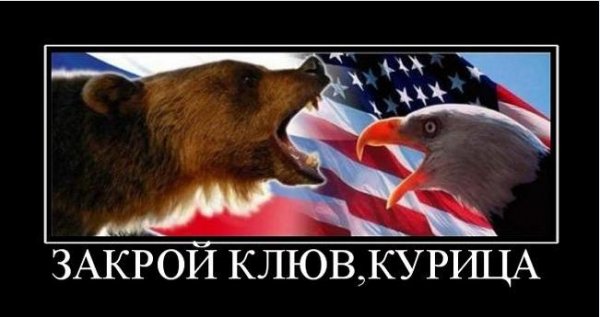 Петухи против медведя не попрут