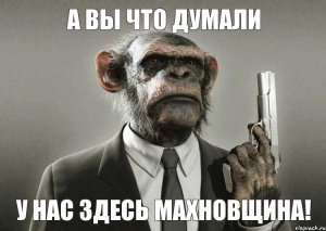 Так проверяют документы в Украине! Активисты-самозванцы  совершают нападения и грабежи