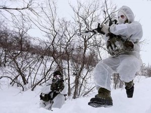 Английские морпехи примёрзли к подгузникам и отказались от участия в учениях