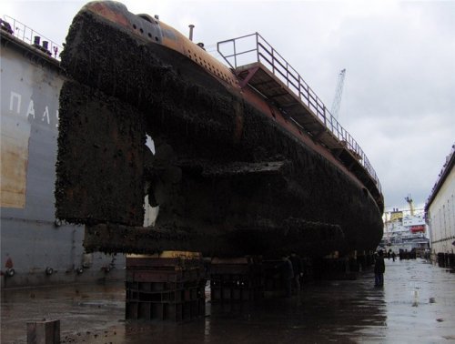 Армейские ужасы нашего городка