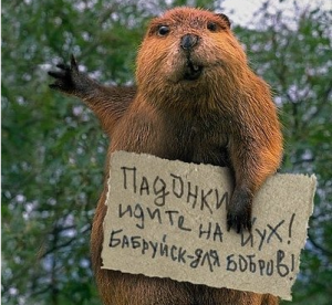 «Свобода» призывает Турчинова ввести в Украине военное положение