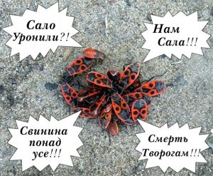 Украинских путчистов слил США