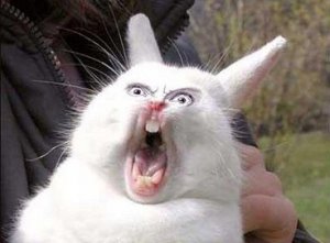 Свобода слова на линии фронта?