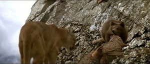 Стой до конца и не вздумай сломаться!