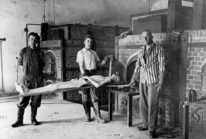 Крематорий есть. Дело за концлагерями