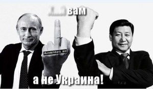 Китайское общественное мнение