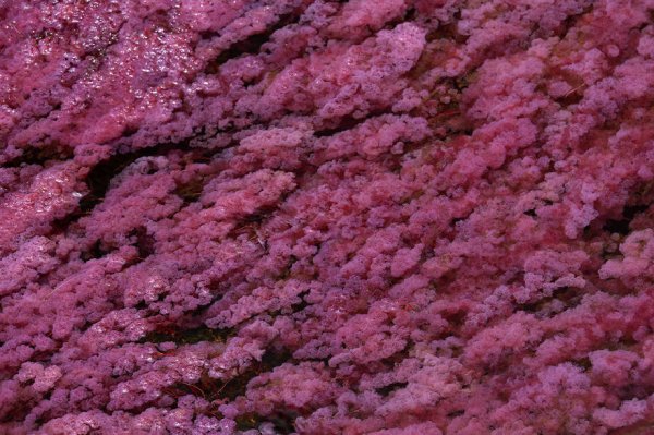 Самая красивая река в мире