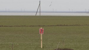 Мобилизация и насилие - есть ВОЙНА. Украина.