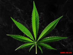 У Украины есть план «Б», - СНБО