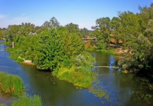 ЄС та Київ нам до сраки!