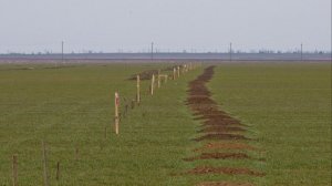 На Майдане веселились, пока Крыма не лишились