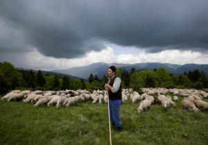 Новейшая сказка