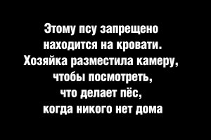 Немного позитива