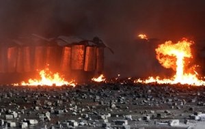 Украинские безумцы