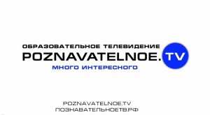 Стратегия современной войны