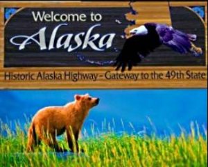 За возвращение Аляски России уже собрали 7,5 тысяч голосов